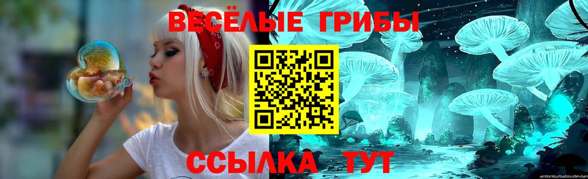 Кувандык  Галлюциногенные грибы GOLDEN TEACHER  Вход с VPN 